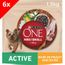 REPAS POUR ANIMAUX PURINA ONE Croquette Chien Poulet 1,5kg x6