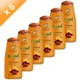 SHAMPOING - DEMELANT TIMOTEI - Shampooing Henné, 300 ml x 6