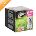 CESAR Assortiment 3 Volailles 3x300g (x6)