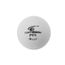 CORNILLEAU 6 Balles Pro blanches