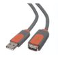 CABLE ET CONNECTIQUE POUR PERIPHERIQUE Belkin Rallonge USB 2.0 1,8 mètres