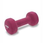 HALTERES/POIDS MUSCULATION WEIDER Haltère Néoprène 1kg