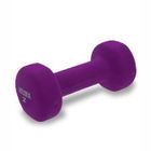 BARRE-HALTERE-POIDS  WEIDER Haltère Néoprène 2kg