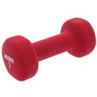 HALTERES/POIDS MUSCULATION WEIDER Haltère Néoprène 1 x 3kg