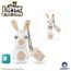 Integral Clé USB Lapins Crétins 8 Go