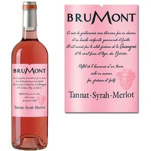 VIN ROSE Tannat Syrah Merlot 2010 Rosé