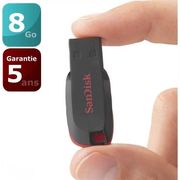 CLÉ USB Sandisk Cruzer Blade 8 Go