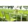 TABLE DE JARDIN VENDUE SEULE BORA Table rectangulaire alu / verre 160 cm Vert