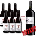 VIN ROUGE 6 Hauts de Janeil 2010 = Magnum Mas Janeil OFFERT