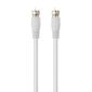 CABLES & CONNECTIQUES Belkin F3Y069bf2M - Câble antenne