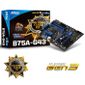 CARTE MERE MSI B75A-G43