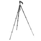 TREPIED PHOTO - CAMESCOPE MANFROTTO MKC3-H01