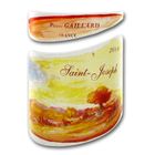 VIN ROUGE Pierre Gaillard Saint Joseph 2008