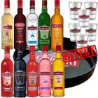 VODKA Pack vodka 10 x Sobieski aromatisées