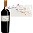 VIN ROUGE Clos de Lolol 2008