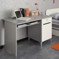 ARMOIRE - MEUBLE CLASSEUR - MEUBLE A CASE - RAYONNAGE  METAL Bureau