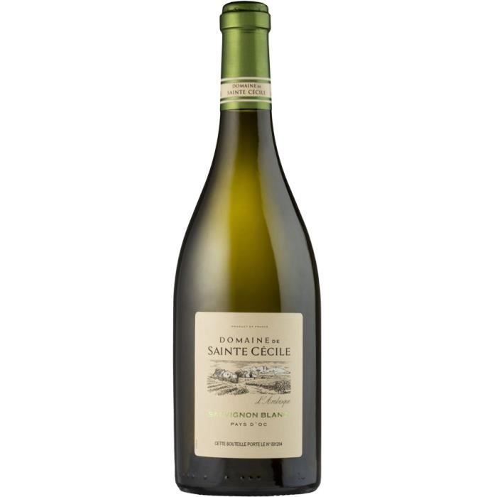 Domaine sainte Cécile 2013 sauvignon blanc Achat / Vente vin blanc Dom. Ste Cécil sauvignon bl