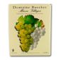 VIN BLANC Domaine Bacchet Mâcon Village blanc BIB® 3L