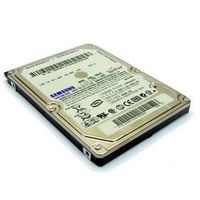 DISQUE DUR INTERNE Samsung Disque dur 400 Go 5400 trs/min