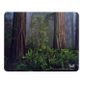 TAPIS DE SOURIS Tnb tapis de souris Recyclé