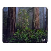 TAPIS DE SOURIS Tnb tapis de souris Recyclé