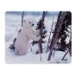 TAPIS DE SOURIS Tnb tapis de souris Recyclé