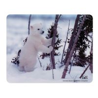 TAPIS DE SOURIS Tnb tapis de souris Recyclé