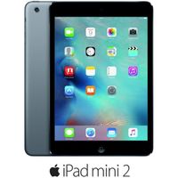 Apple iPad Mini 2 Wi-Fi 32Go Wi-Fi Gris Sidéral Apple iPad Mini 2 Wi-Fi 32Go Wi-Fi Gris Sidéral