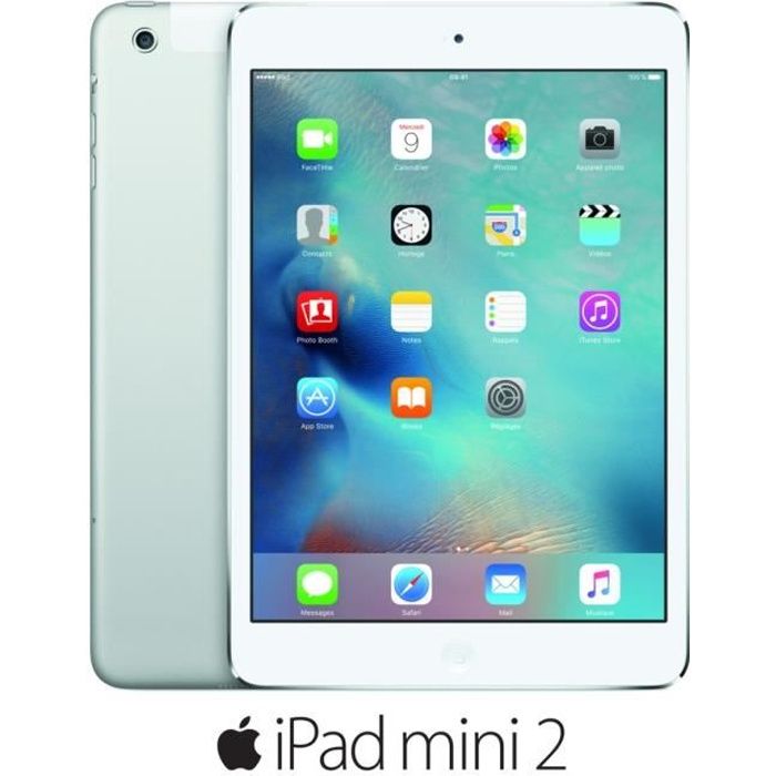 Apple Ipad Mini Wi Fi Cellular Go Argent Prix Pas Cher Cdiscount