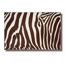  Tapis Zebra 160/230 Choco / Beige