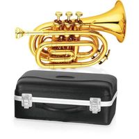 INSTRUMENTS A VENT DELSON Trompette