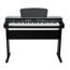 DELSON NP10