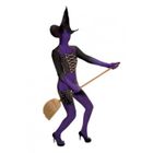  Déguisement Adulte Sorcière Violette