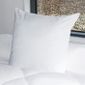  BLEU CALIN Lot de 2 oreillers PHYTOPURE 60x60