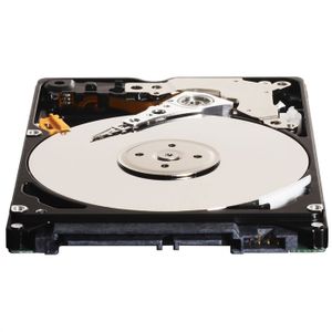 WD Scorpio Blue 500Go 8Mo 2.5"