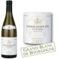 VIN BLANC Chablis Grand Cru "Les Vaudesirs" J. Bouchard 2007