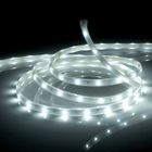 AMPOULE - LED - HALOGENE  Ruban à Leds XANLITE blanc, 1m waterproof