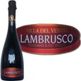 VIN ROUGE Villa Del Vento Lambrusco
