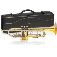 INSTRUMENTS A VENT DELSON Trompette