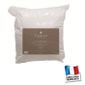 CASATXU Lot 2 oreillers ANTI-TRANSPIRATION 60X60cm