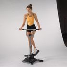 STEPPERS/STEPS FITNESS DAVID DOUILLET Mini-Stepper Rotatif