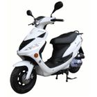  Scooter 50cc GTR-C Blanc