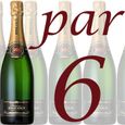 CHAMPAGNE Champagne Bricout Brut Réserve (6 bouteilles)