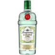 GIN Gin Tanqueray 10 (70cl)