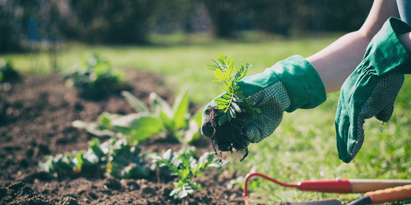 Quels sont les travaux de jardinage à effectuer au printemps ? - Cdiscount