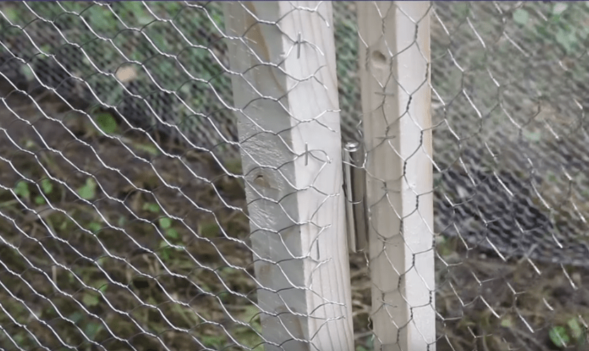 Comment Fabriquer Un Enclos A Poules Fait Maison Cdiscount