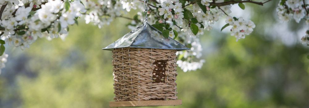 nichoir suspendu a un arbre pommier en fleurs