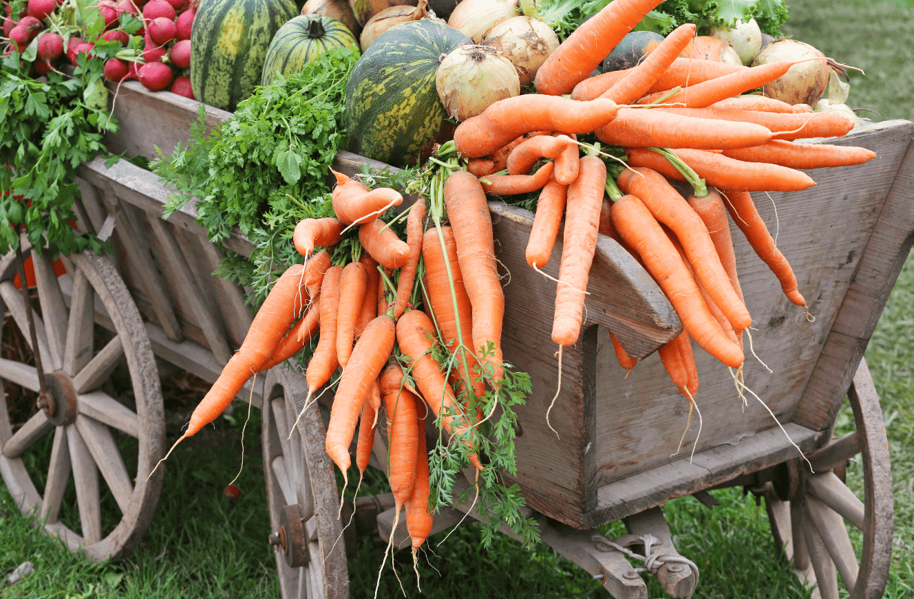 alimentation bio