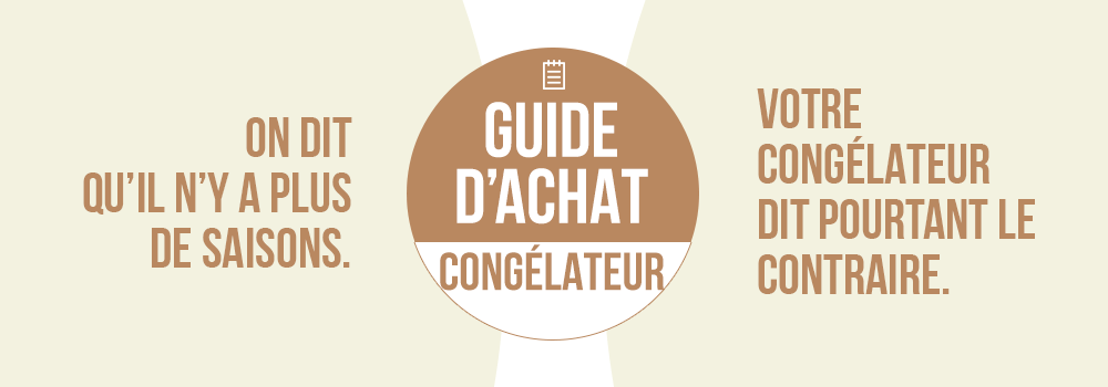 Comment choisir son congélateur