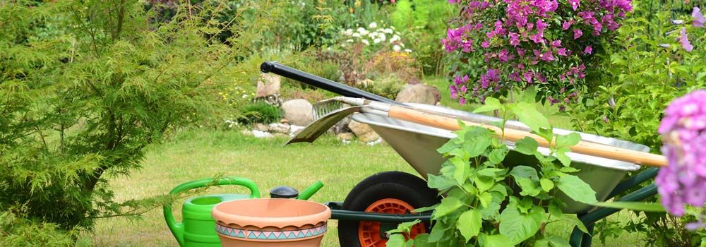 outils de jardinage dans un jardin